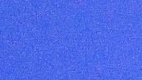 "Nole" obtuvo su cuarto título en este 2022.