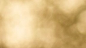 La Patrulla Fronteriza (CBP) ha tenido más de 2 millones de encuentros con migrantes en la frontera entre Estados Unidos y México en el año fiscal 2022.