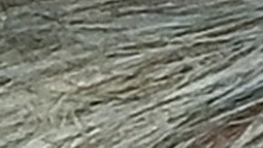 Carlo Ancelotti (derecha) entrenador del Real Madrid y Xavi Hernández estratega del FC Barcelona.