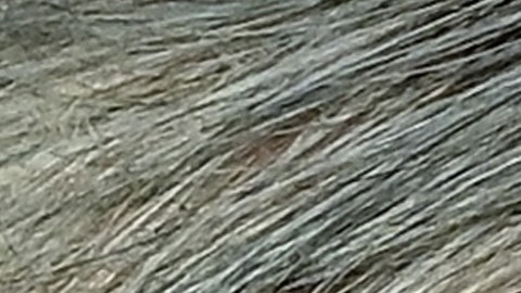 Carlo Ancelotti (derecha) entrenador del Real Madrid y Xavi Hernández estratega del FC Barcelona.