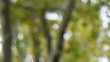 El brasileño querían imputarle por $10 millones de dólares.