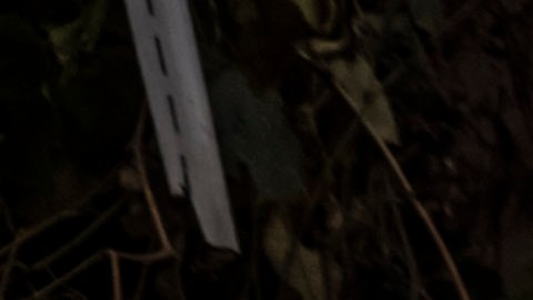 Flores fuera de una casa donde una pareja murió en un ataque con drones en Kyiv, Ucrania.