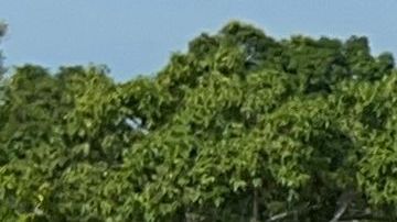 Miembros de la Guardia Nacional Mexicana en la frontera entre México y Guatemala durante una operación conjunta con las autoridades y el Ejército de Guatemala para evitar el cruce de caravanas de migrantes en Ciudad Hidalgo, estado de Chiapas, México, el 21 de octubre de 2022.