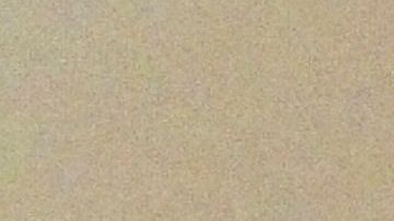 Tras el huracán Ian, ahora Florida enfrenta ataque de mosquitos que el gobierno busca detener