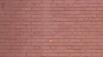 Adolescente asesinada en la escuela de St. Louis planeaba su fiesta cumpleaños 16 justo antes del tiroteo