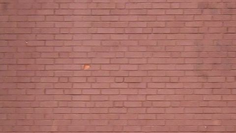 Adolescente asesinada en la escuela de St. Louis planeaba su fiesta cumpleaños 16 justo antes del tiroteo