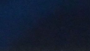 Inter de Milán celebrando gol ante Plzen en Champions League.