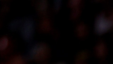 LeBron y Anthony Davis no han podido hacer un buen equipo.