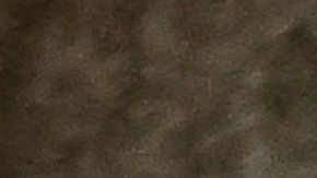 Biden acudió a votar anticipadamente en Delaware, junto a su nieta Natalie.