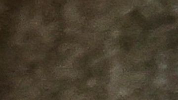 Biden acudió a votar anticipadamente en Delaware, junto a su nieta Natalie.