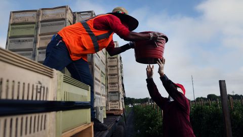 "DACA para los trabajadores" podrá legalizar a millones