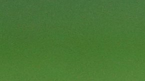 El futbolista mexicano Andrés Guardado durante un partido con el Betis.