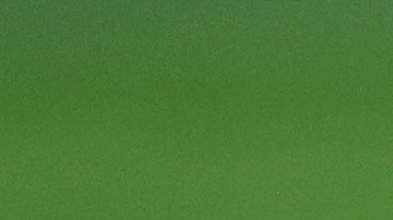 El futbolista mexicano Andrés Guardado durante un partido con el Betis.