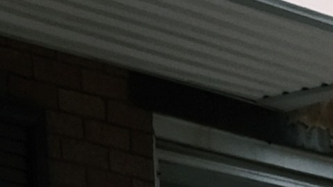 Tiroteo en Filadelfia: Agentes SWAT resultan baleados al intentar arrestar a fugitivo de 19 años, quien terminó muerto