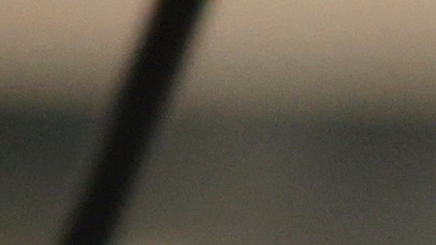 Florida y California son los estados con más votos preelectorales emitidos.