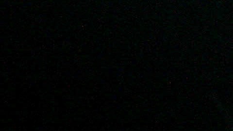 Los gatos negros, quizás más que cualquier otro tipo de gato, provocan una repuesta de miedo o rechazo en nosotros, los humanos.