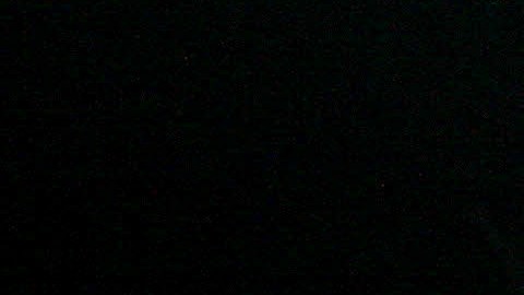 Los gatos negros, quizás más que cualquier otro tipo de gato, provocan una repuesta de miedo o rechazo en nosotros, los humanos.