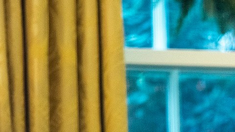 El presidente Biden tuvo una conversación con el presidente ucraniano Volodimir Zelensky.