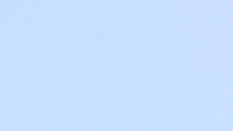 Dron