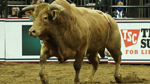 Mujer es embestida por toro en rodeo y accidente le salva la vida al descubrir en el hospital que tenía cáncer