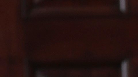 El presidente Biden propone elevar a Georgia y Michigan.