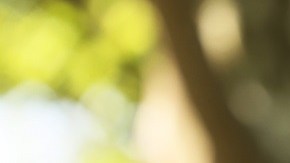 Los 'dreamers' siguen sin tener una protección migratoria permanente.