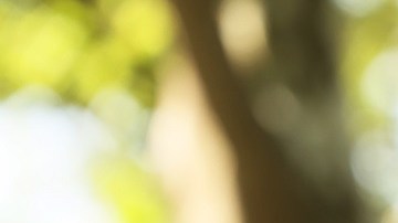 Los 'dreamers' siguen sin tener una protección migratoria permanente.