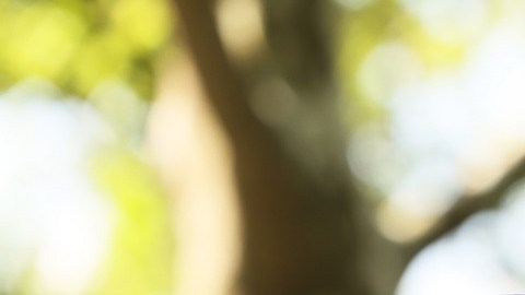 Los 'dreamers' siguen sin tener una protección migratoria permanente.