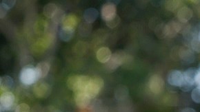 DACA cumplió 10 años de proteger a 'dreamers', pero sin certeza migratoria.