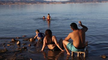 Niño de Nevada muere a causa de rara ameba devoradora de cerebros que pudo haber contraído en el lago Mead
