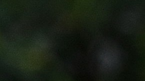 Se estima que la fortuna personal de Brad Pitt sea de $ 435 millones.