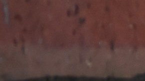 Exempleado de Universidad en Boston es acusado de engaño de bomba que causó terror en el campus