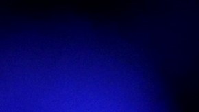 El serbio ahora tendrá un insecto con su nombre.