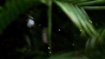 El huracán Ian causó enormes pérdidas y daños materiales en Florida.