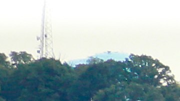 El aficionado cayó en coma, pero murió en el hospital.