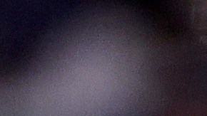 Los Dodgers clasificaron como el mejor equipo de la Liga Nacional.