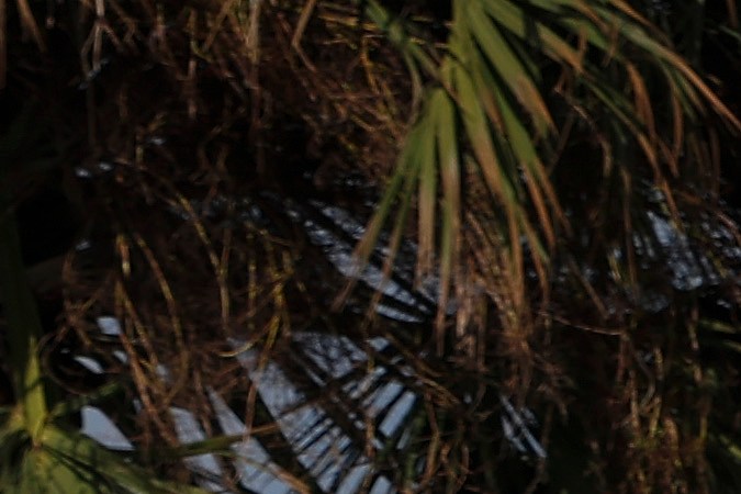 El huracán Ian destruyó completamente numerosas viviendas a su paso por Florida.