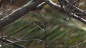 Muertos por el huracán Ian supera los 100 en Florida, mientras lucha por recuperarse