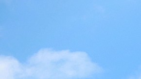 Adolescente trató de salvar a su hermano de 6 años tras inundaciones por huracán Ian, pero ambos se ahogaron