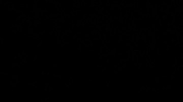 Los abogados de Trump hallaron documentos confidenciales cerca de su mansión de Mar-a-Lago.