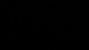 El presidente Trump enfrenta varias investigaciones.