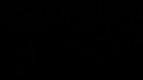 El expresidente Donald Trump durante un evento público.