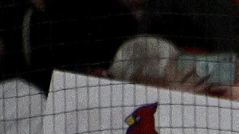 Albert Pujols sale del juego en el octavo inning tras batear su último hit en las Ligas Mayores.