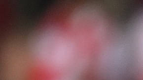 Luis Díaz estará fuera de acción por seis semanas con el Liverpool.