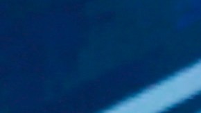 Jugadores de los Lions rodean a Saivion Smith, momentos antes de que se lo llevara la ambulancia.