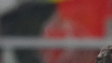 Reece James se perderá la Copa del Mundo.