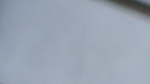 La comunidad ha salido, desde hace varios días, a protestar a las calles de LA.