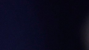 Pence advirtió contra el "populismo sin amarras" en un discurso en Georgetown University.