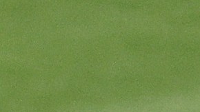 El venezolano José Altuve junto a un fanático que se lanzó al terreno de juego durante el segundo partido de la serie ante los Yankees de Nueva York.