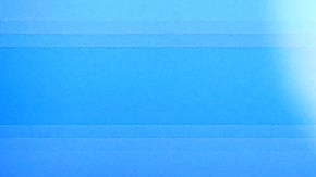 La apuesta fue de $10 millones de dólares a comienzo de año.